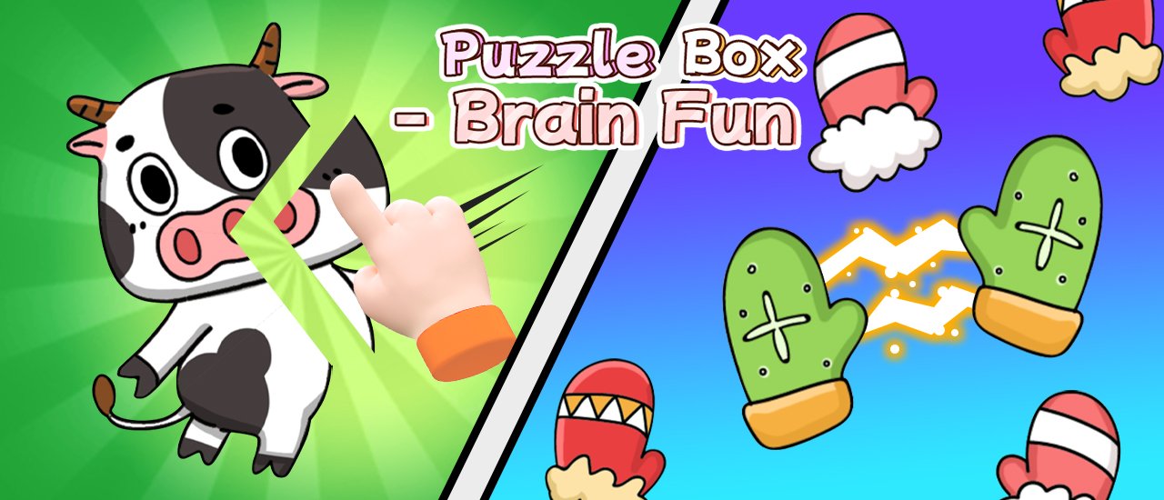 Puzzle Box Brain Fun